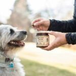 Veterinary Care: 7 Proven Ways to Prevent Copper Toxicity in Pets
